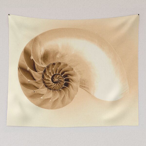 Item preview, SEASHELL  designed and sold by MAYRA PEREZ.