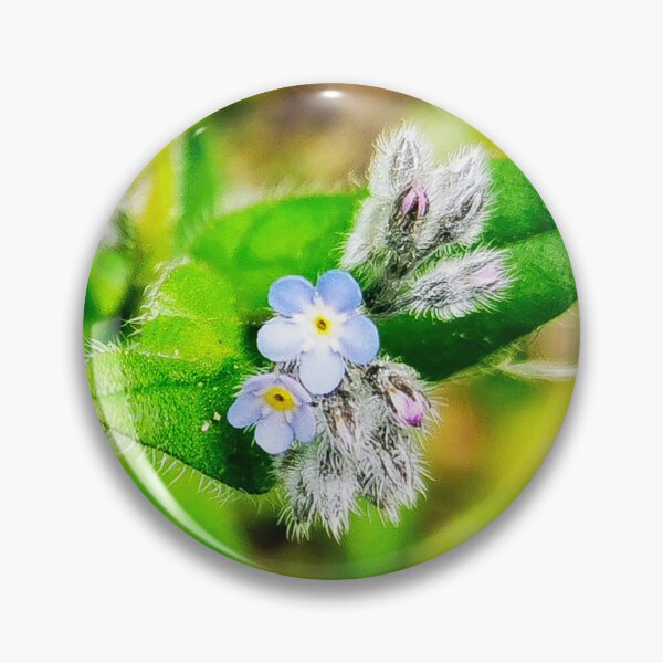 Item preview, Vergissmeinnicht - forget-me-not flower designed and sold by Wila-WolfsWacht.