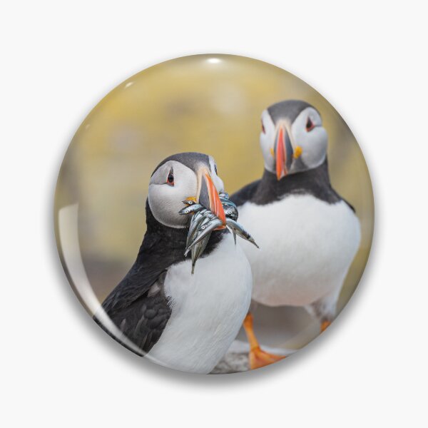 Item preview, Puffin with fish designed and sold by dvlcom.