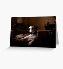 Koji Greeting Card