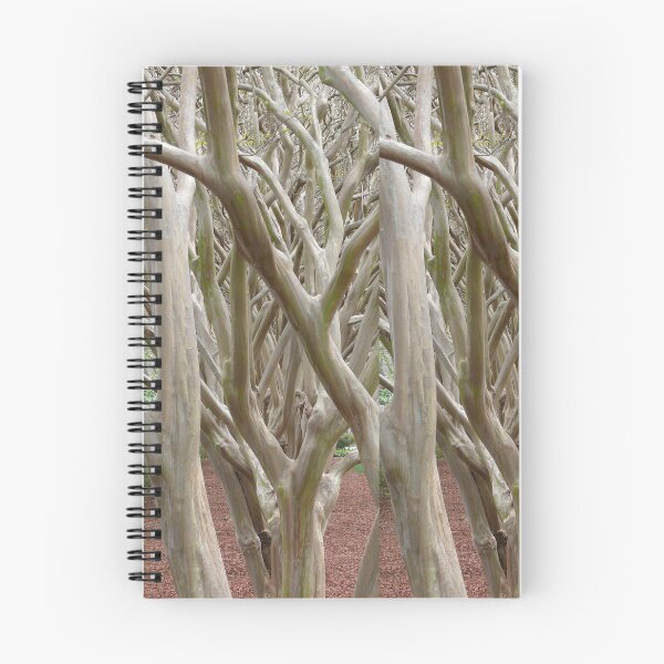 Item preview, Gorgeous Winter Crepe Myrtle designed and sold by Cyndi's Stuff.