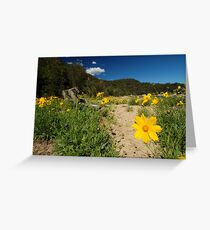 Sitting, Waiting, Wishing Greeting Card