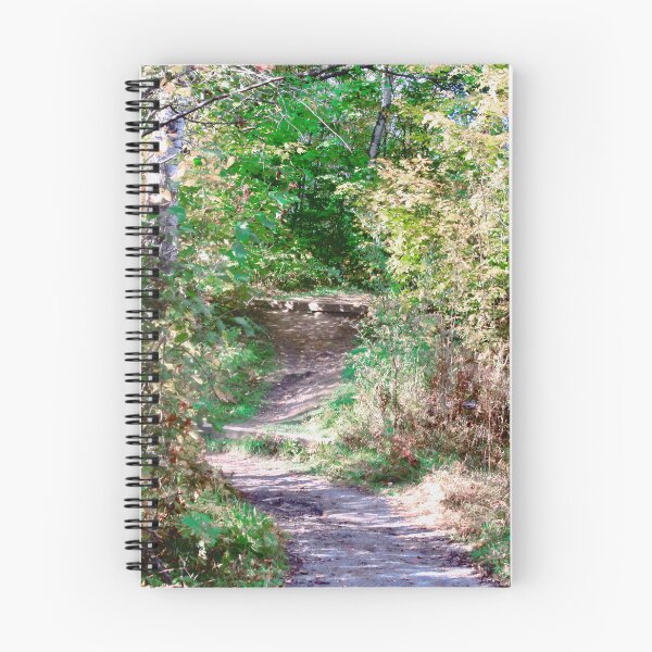 Item preview, Sunlit Path designed and sold by Shulie1.