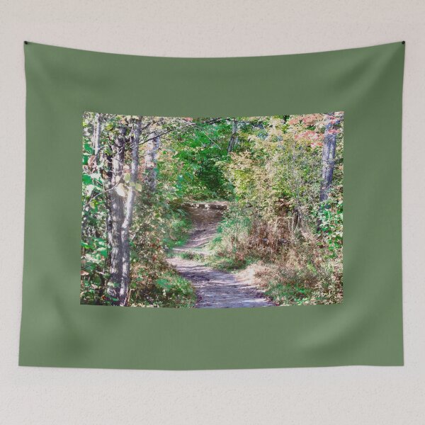 Item preview, Sunlit Path designed and sold by Shulie1.