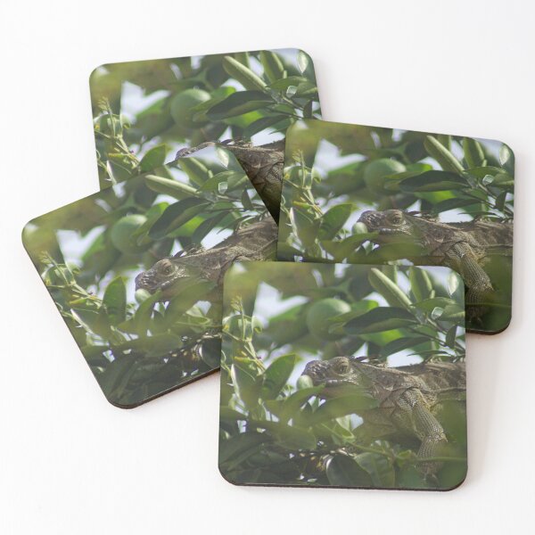 Item preview, cll iguana designed and sold by pcfyi.