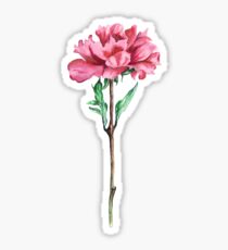 Peony Sticker
