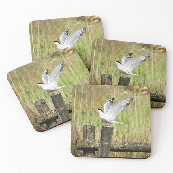 Item preview, Common Tern with wings in the air designed and sold by TwistedClassics.