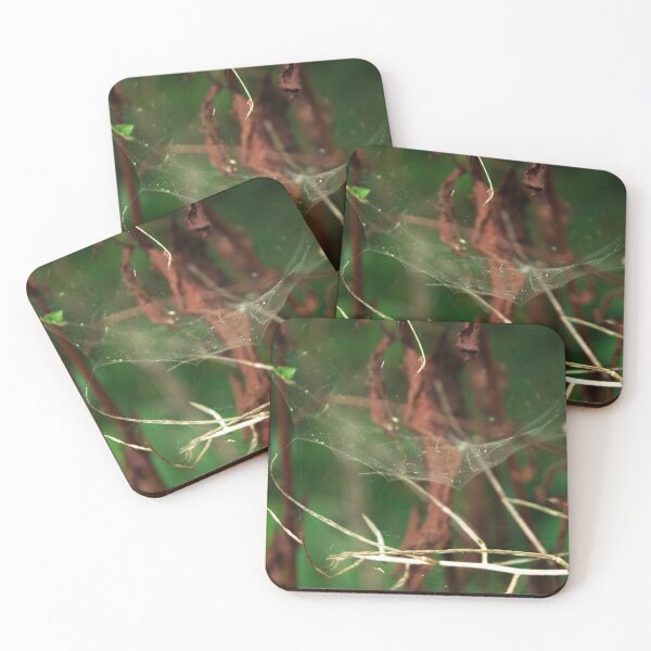 Item preview, Spiderweb in the forest designed and sold by chiaravisuals.