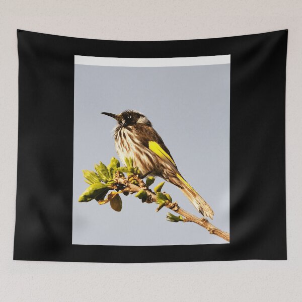 Item preview, Gráfico New Holland Honey Eater. designed and sold by looimvkirk7z.