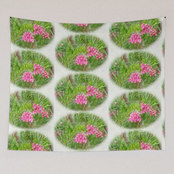 Item preview, Grevillea Shrub in the garden..Dorset UK designed and sold by lynn carter.