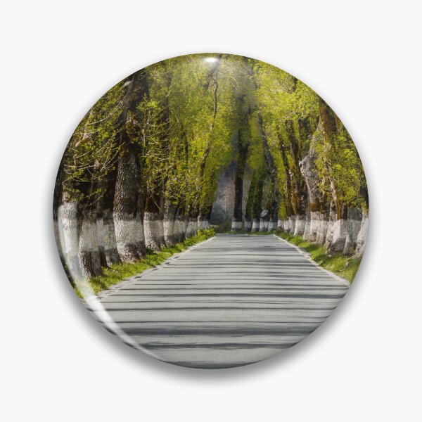Item preview, Carretera de travesía Alto Alentejo designed and sold by DiFigianoPhoto.