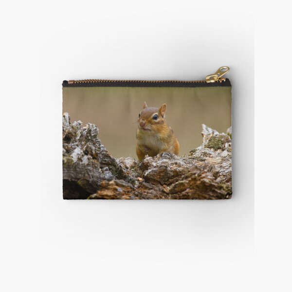 Item preview, More Please designed and sold by TonyZphoto.