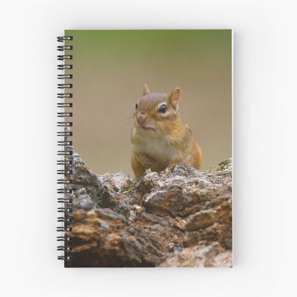 Item preview, More Please designed and sold by TonyZphoto.