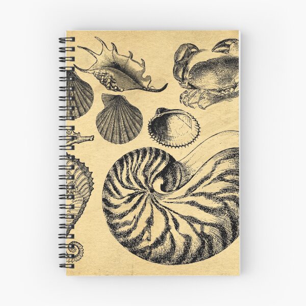 Item preview, Vintage Sealife Illustration designed and sold by peanutroaster.