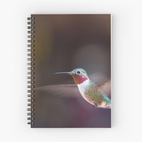 Item preview, Hummingbird in flight designed and sold by TonyZphoto.