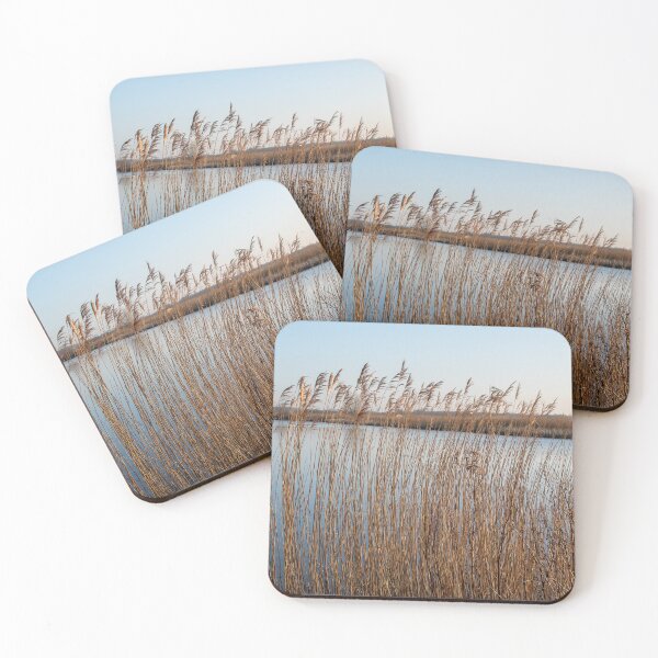 Item preview, Norfolk Broads reeds designed and sold by cdkphotos.