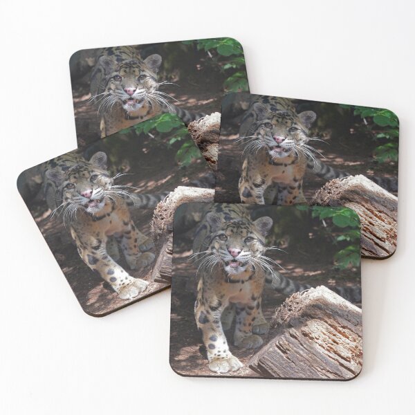 Item preview, Clouded Leopard - Neofelis Nebulosa designed and sold by Mark Tiller.