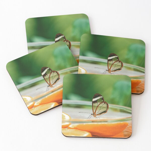Item preview, Glass Wings - Butterfly Photography designed and sold by TheEndlessStore.