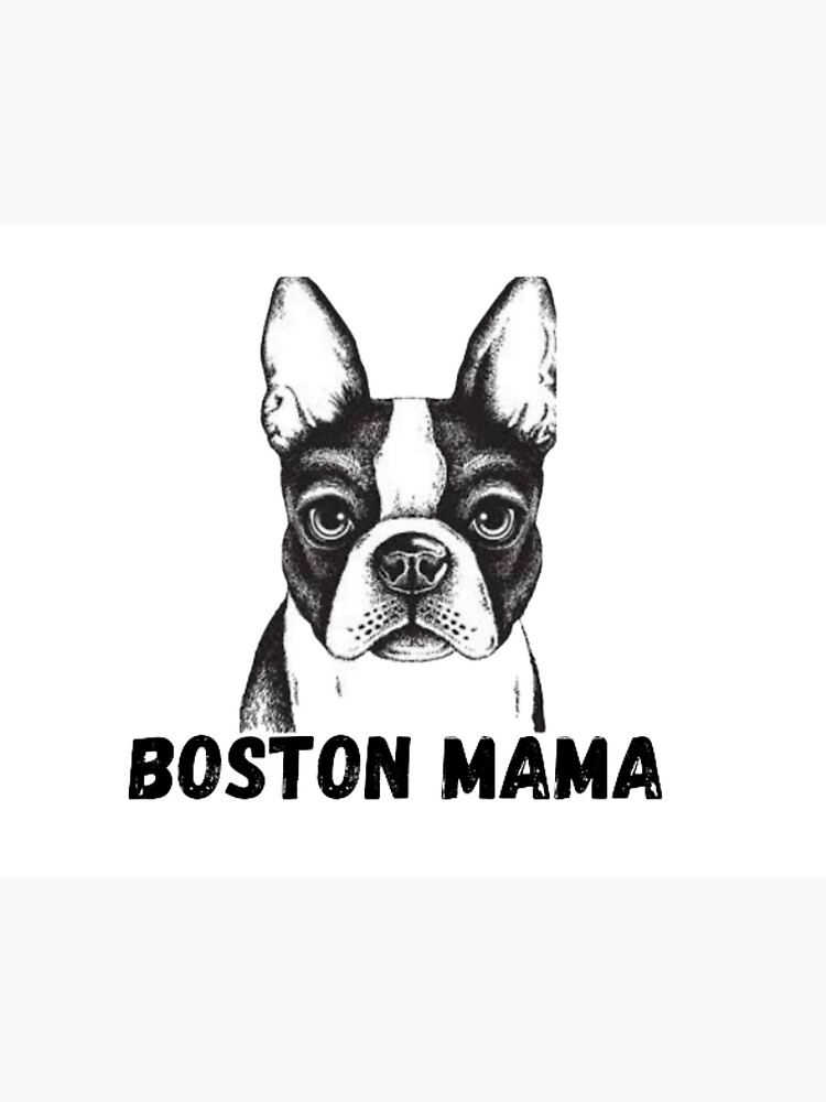 boston terrier mama