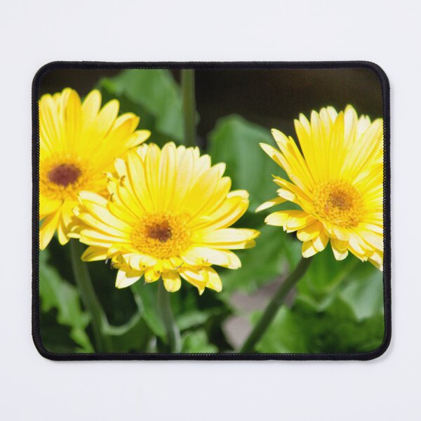 Item preview, Yellow daisies designed and sold by MoreGoodArt.