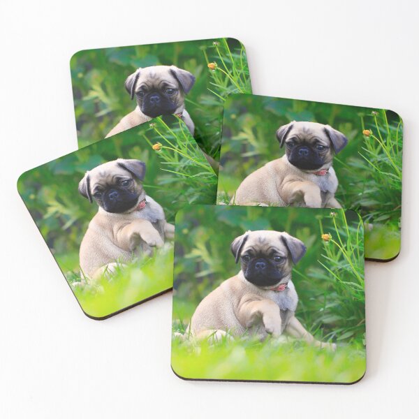 Item preview, Sitting Pretty designed and sold by Yannik Hay.