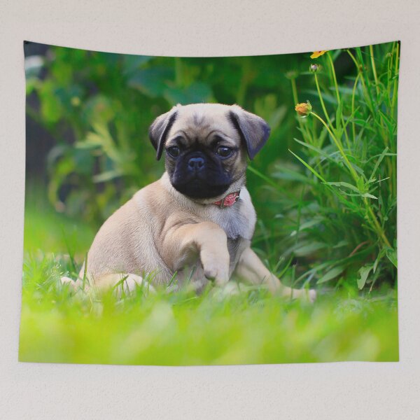 Item preview, Sitting Pretty designed and sold by Yannik Hay.