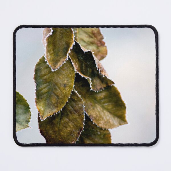 Item preview, Frosted leaves designed and sold by MoreGoodArt.