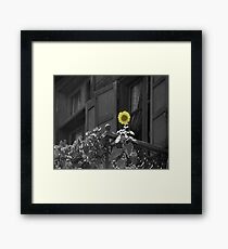 lonely Framed Print