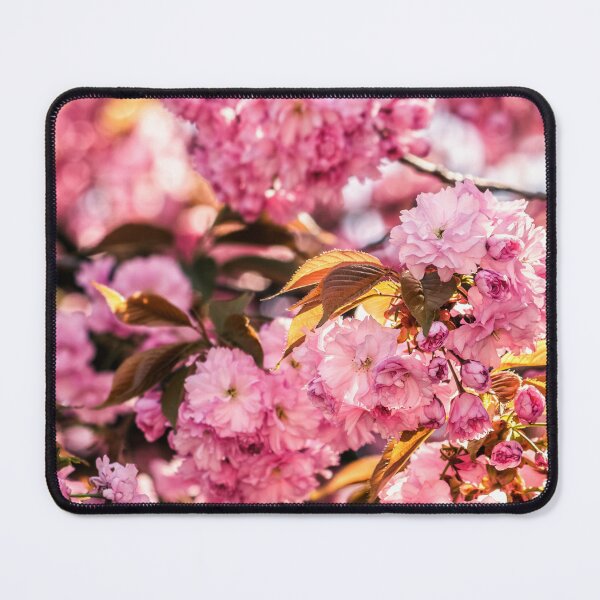 Item preview, Pink blossomed sakura flowers designed and sold by Quotes-and-plus.