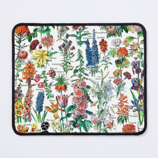 Item preview, Adolphe Millot - Fleurs pour tous - French vintage  designed and sold by TeeARTHY.