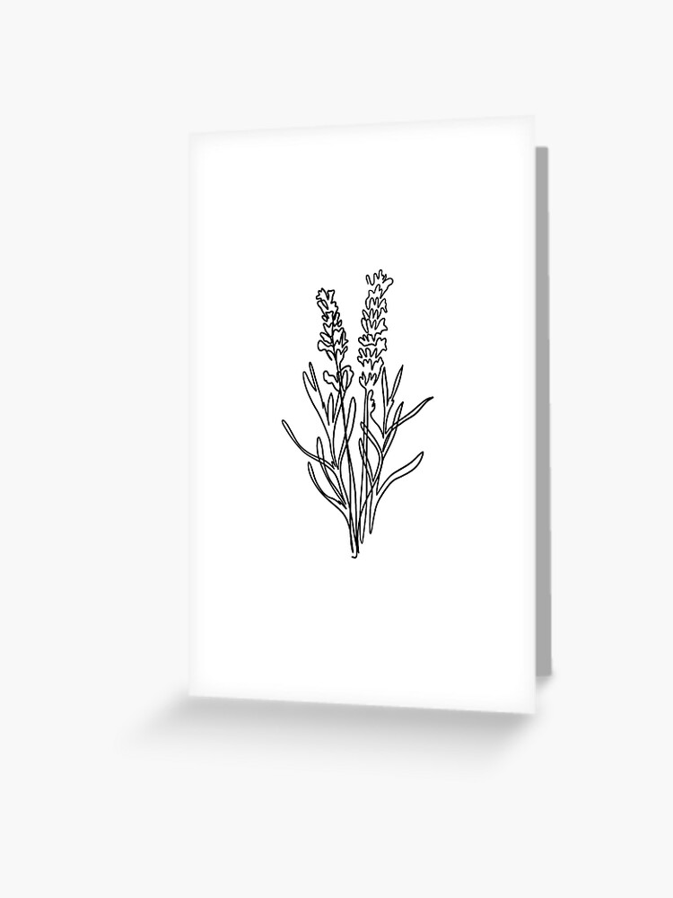 Lavender drawing set isolated wild flower Vector Image