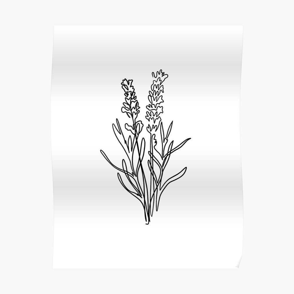 Lavender twig hand drawn sketch style Royalty Free Vector