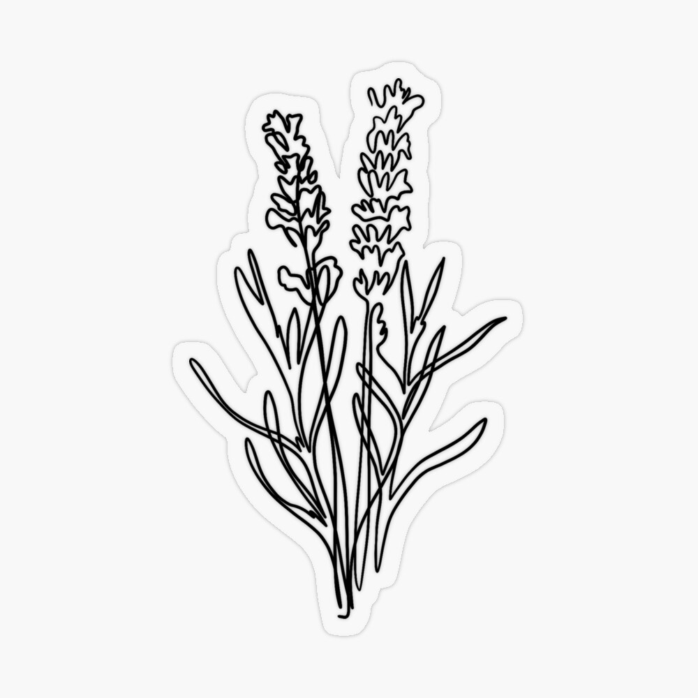 Flowers Drawings : lavender tattoo – Google Search | Flickr