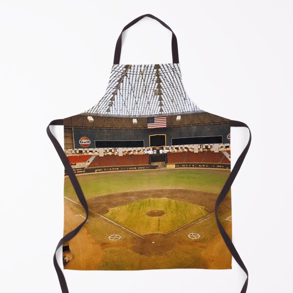 Item preview, Houston Astrodome, Astrodome with grass, Houston Baseball Stadium, Old Ballparks, old Stadiums, Dome Stadiums, designed and sold by Nostrathomas66.