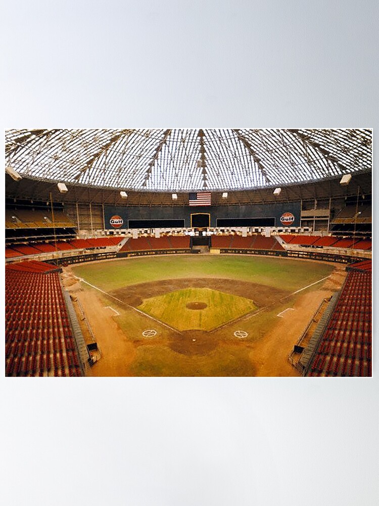 Ballpark Brothers  The Astrodome, Houston, TX