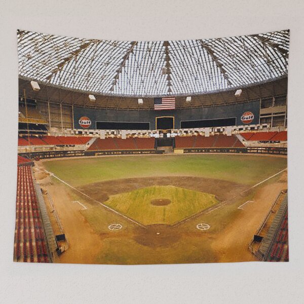 Aperçu de l'œuvre Houston Astrodome, Astrodome avec de l'herbe, Houston Baseball Stadium, Old Ballparks, vieux stades, stades Dome, créée et vendue par Nostrathomas66.
