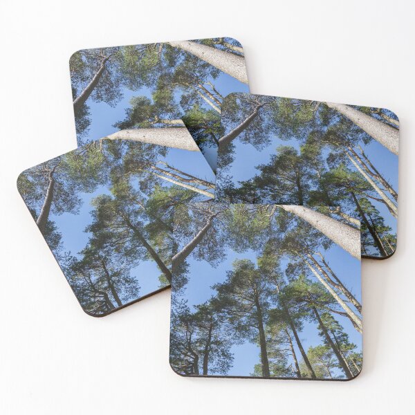 Item preview, Tall Trees and Blue Sky designed and sold by heidipics.