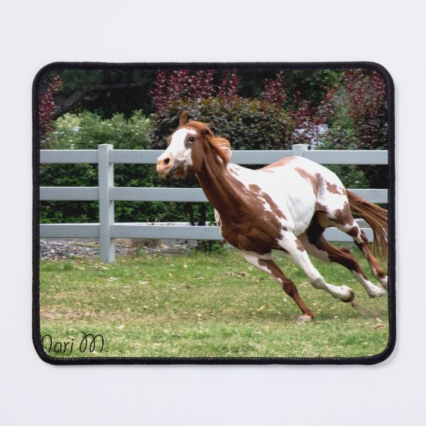 Item preview, Painted pony designed and sold by MoreGoodArt.