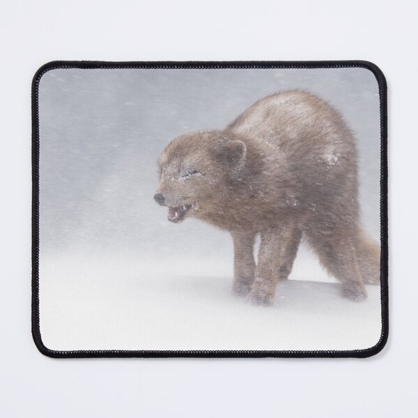 Item preview, Four paws to the wind designed and sold by Anthony Brewer.