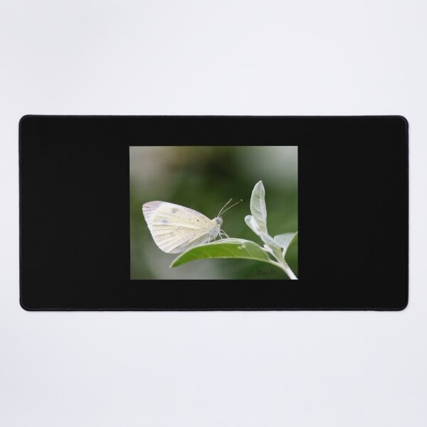 Item preview, White butterfly designed and sold by MoreGoodArt.