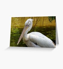 Pelican Greeting Card
