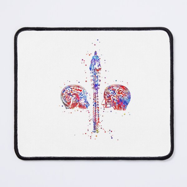 Item preview, Human brain and spinal cord designed and sold by Rosaliartbook.