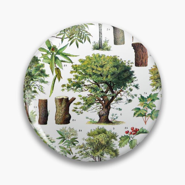 Item preview, Adolphe Millot Poster Forest Trees. Printable Wall Art. French Antique Decor. Botanical Print. designed and sold by TeeARTHY.