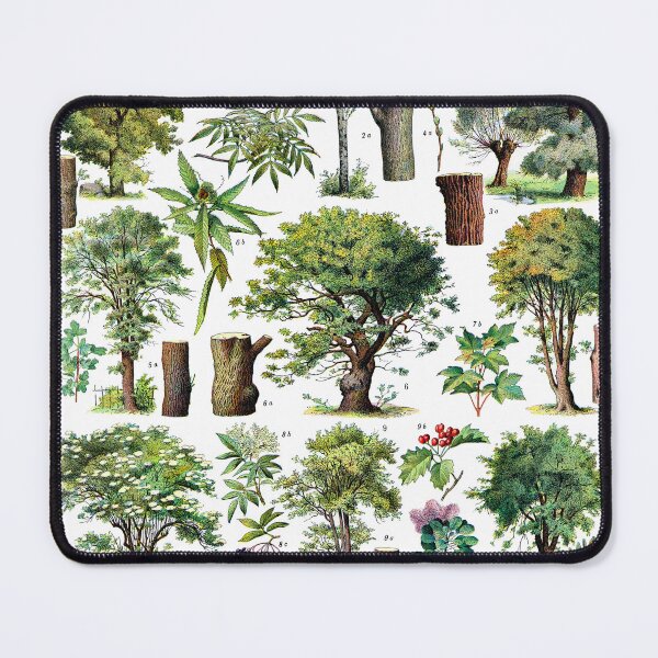 Item preview, Adolphe Millot Poster Forest Trees. Printable Wall Art. French Antique Decor. Botanical Print. designed and sold by TeeARTHY.