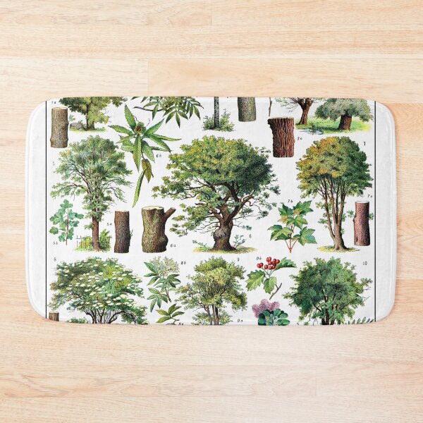 Item preview, Adolphe Millot Poster Forest Trees. Printable Wall Art. French Antique Decor. Botanical Print. designed and sold by TeeARTHY.
