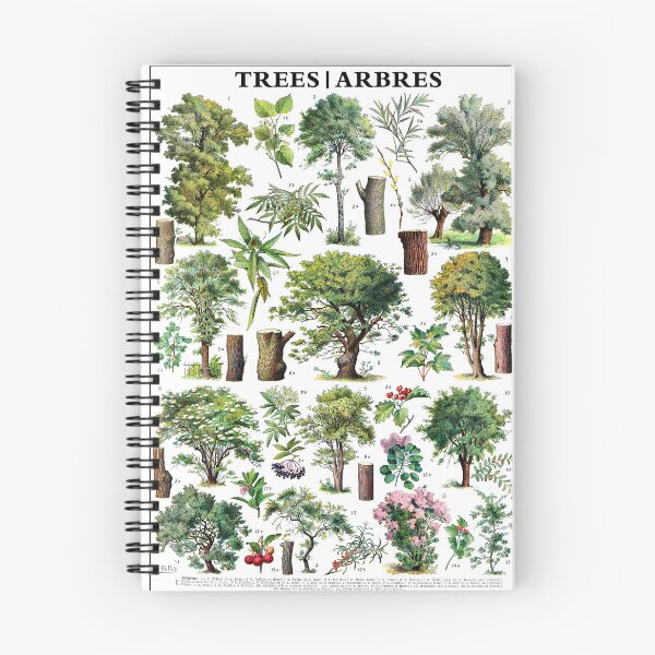 Item preview, Adolphe Millot Poster Forest Trees. Printable Wall Art. French Antique Decor. Botanical Print. designed and sold by TeeARTHY.