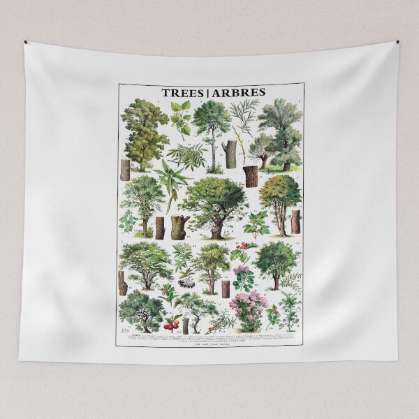 Item preview, Adolphe Millot Poster Forest Trees. Printable Wall Art. French Antique Decor. Botanical Print. designed and sold by TeeARTHY.