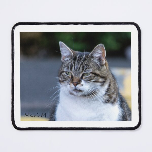 Item preview, fat gray cat designed and sold by MoreGoodArt.
