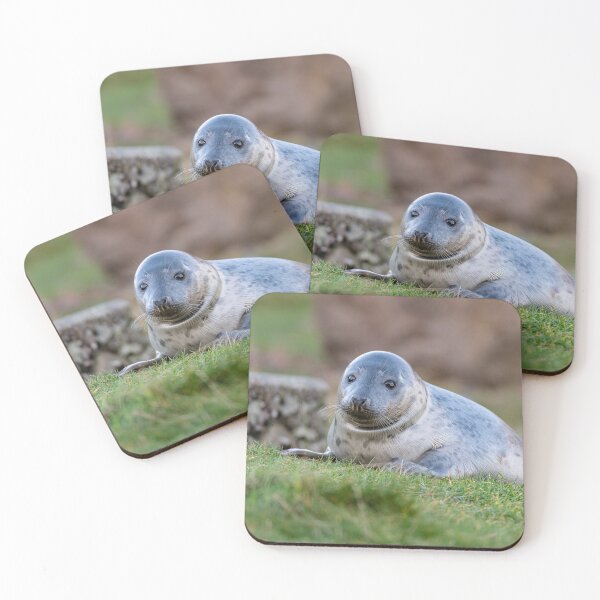 Item preview, Young Seal designed and sold by dvlcom.
