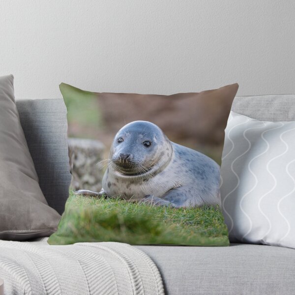 Item preview, Young Seal designed and sold by dvlcom.
